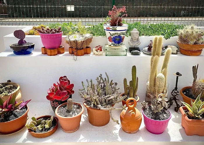 Casa Luna * 푸에르토 델 카르멘